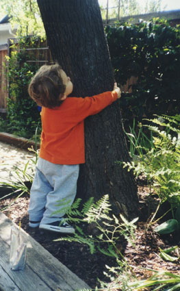 treehugger.jpg